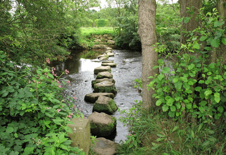 Stepping stones cross the River Nidd, used on this single-centre hike.